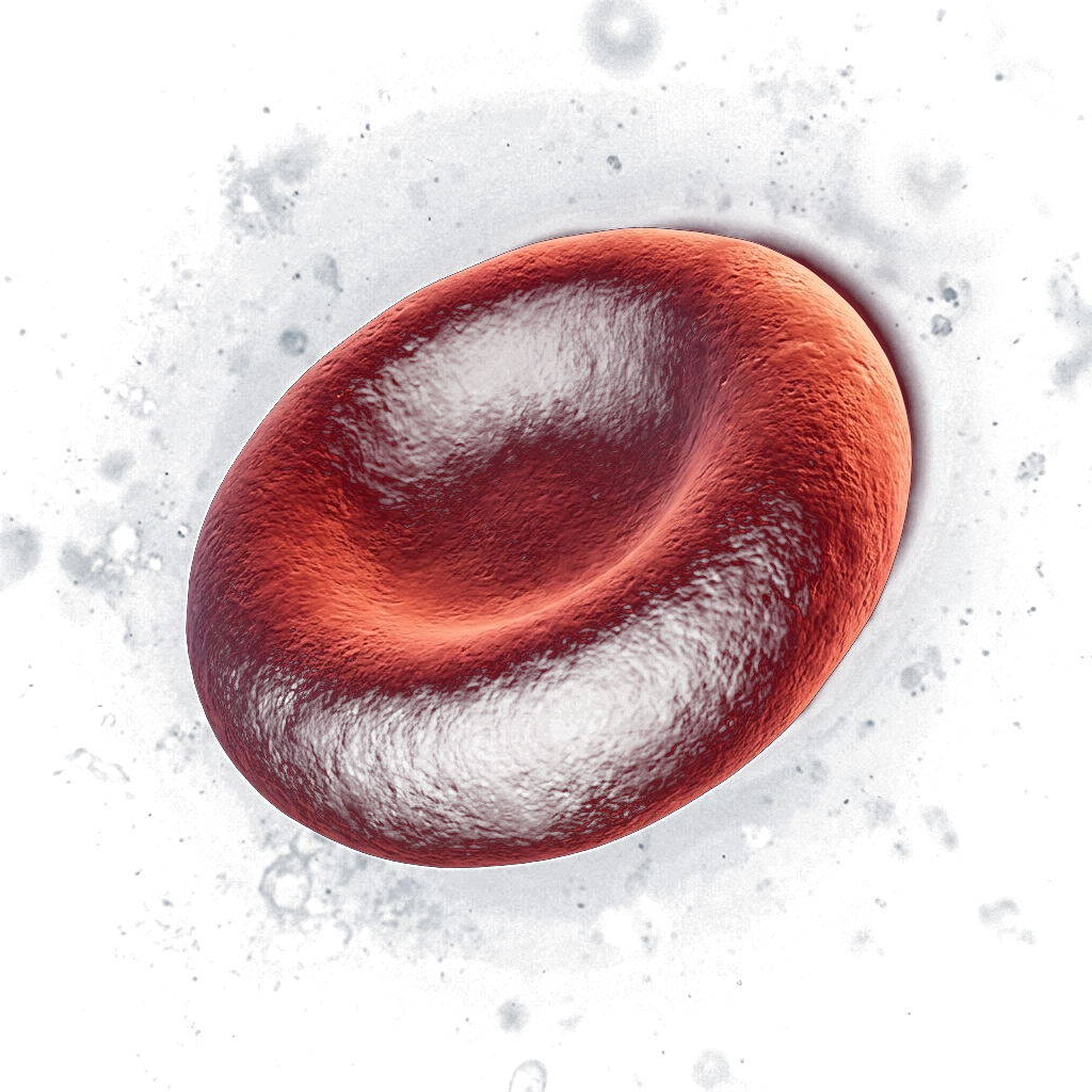 Red Blood Cell Texture