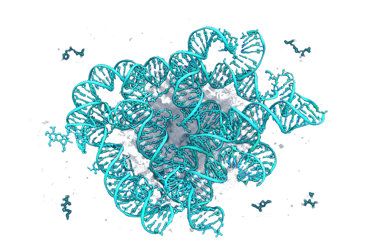 High-resolution microscopic Cryo-EM structure of human lncRNA tertiary fold